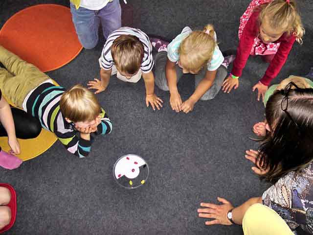 在线手机号平台